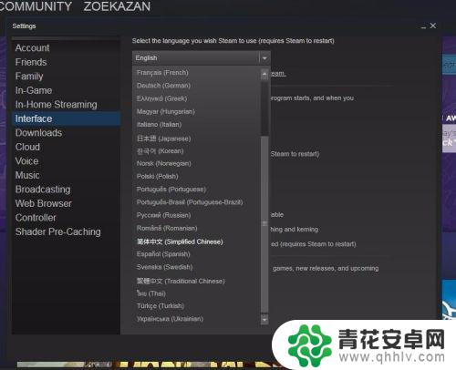 steam怎么转换成中文 怎样在Steam上改成中文界面