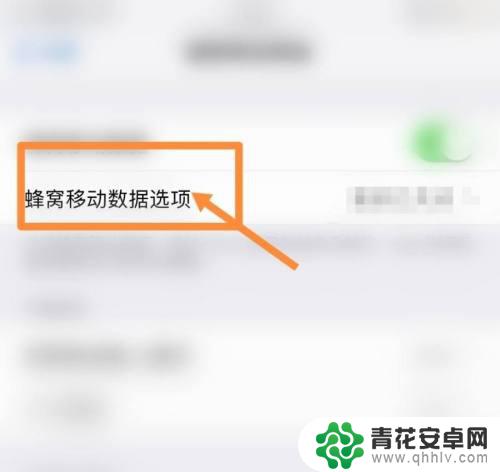 苹果手机怎么打开实时网速显示 苹果手机实时网速显示方法