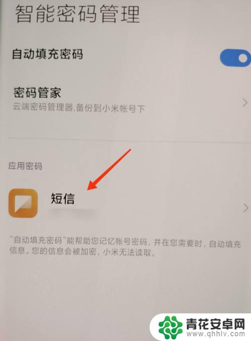 怎么看到小米手机设置密码 小米密码管理app如何查看密码