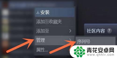 steam怎么看已买游戏 Steam已购买游戏序列号怎么查看