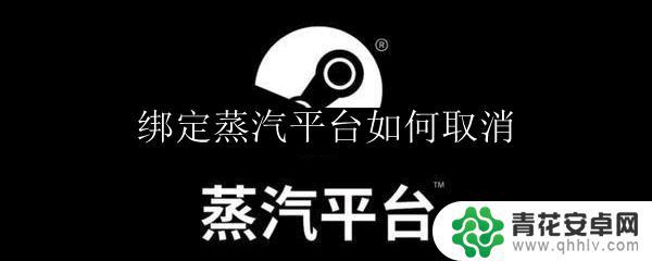 steam怎么和蒸汽平台解绑 绑定蒸汽平台账号后如何取消