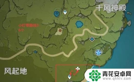 原神如何在地图上显示植物 原神小灯草采集点在哪找2021