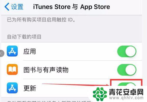 苹果手机如何停掉自动更新 iPhone 如何关闭App自动更新设置