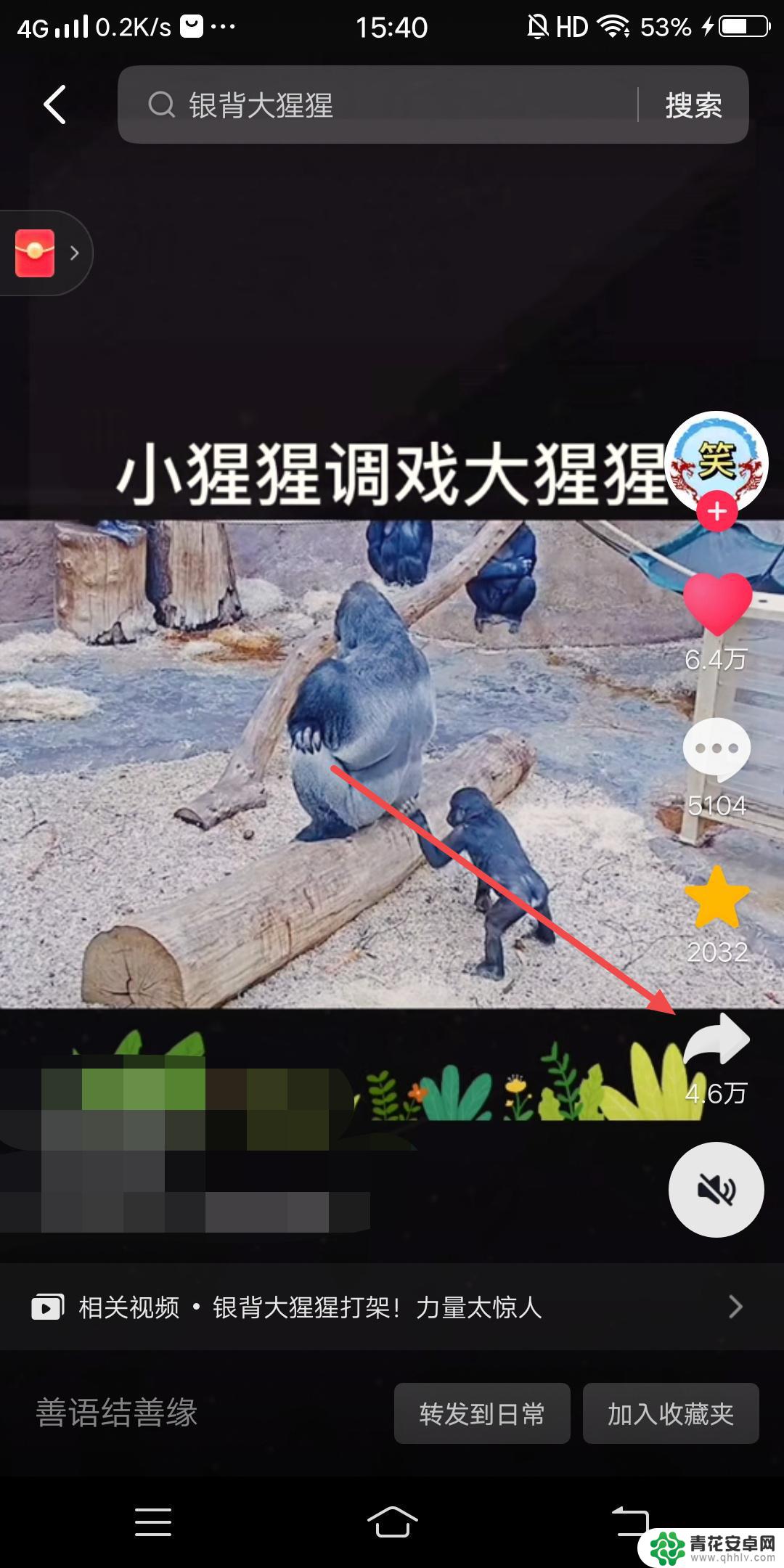 抖音收藏视频咋转发(抖音收藏视频咋转发到微信)