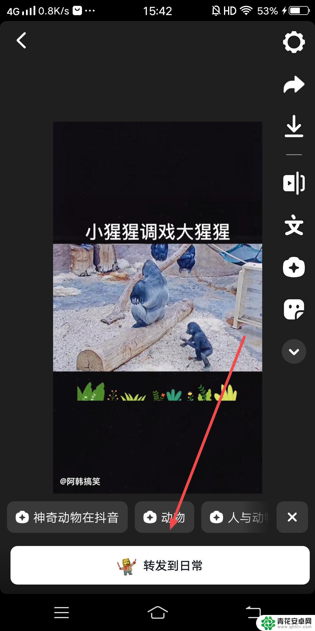 抖音收藏视频咋转发(抖音收藏视频咋转发到微信)