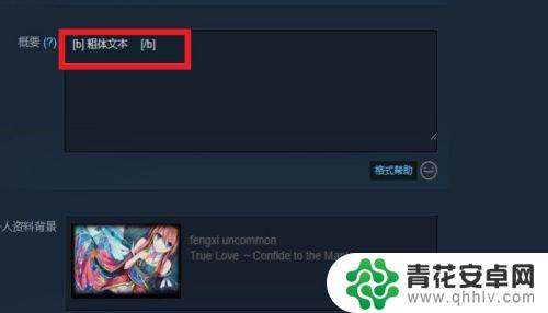 steam划线 STEAM个人资料界面文本字体样式叠加