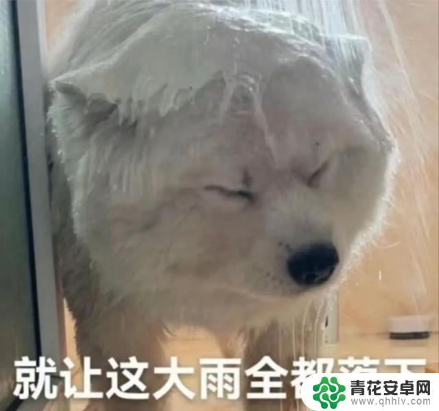 Steam上线后玩家激增！在线人数突破50万，中文好评仅占56%！
