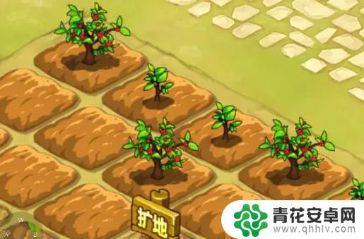 弹弹堂大冒险怎么施肥 弹弹堂大冒险施肥技巧