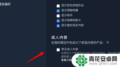 steam成人模式在哪 Steam如何设置成人内容显示