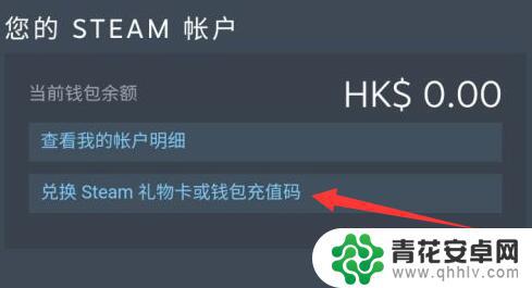 阿区steam怎么支付 Steam阿根廷区支付流程详解