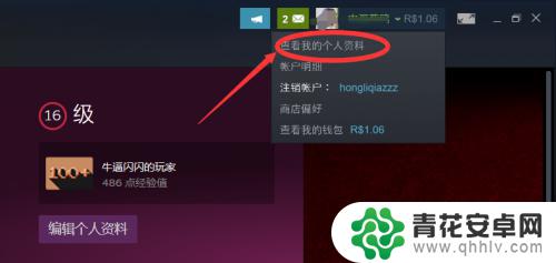 steam和背景 如何在Steam上设置个人背景