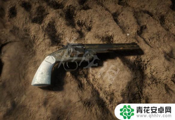 荒野大镖客帮派武器 《荒野大镖客2》帮派成员常用武器有哪些