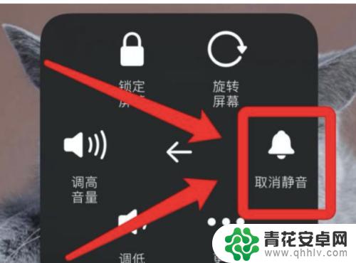 为什么苹果原神没声音 苹果手机原神外放没有声音怎么办