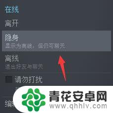 怎么直接隐身steam Steam如何设置隐身状态