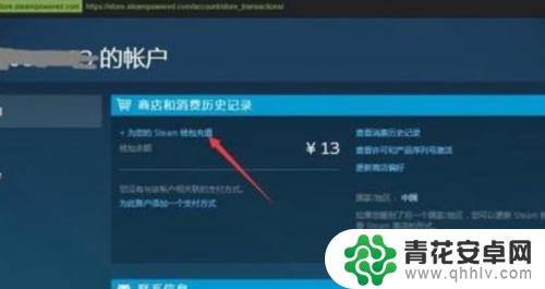 steam购买r6后如何激活 Steam钱包怎么帮好友充值R6点数