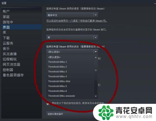 挂在steam上的皮肤 Steam皮肤自定义教程