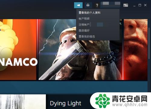 怎么在steam上查询战绩 如何查询我的CSGO比赛战绩