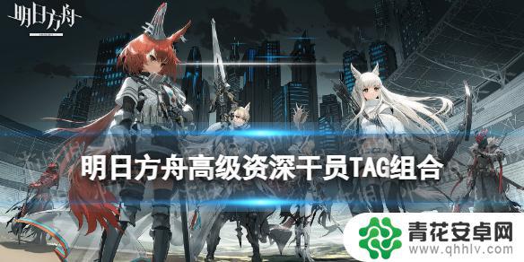 明日方舟公招高资组合 《明日方舟》高级资深干员TAG组合计算器下载