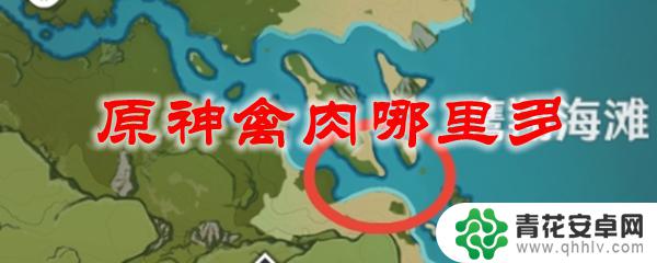 如何在原神中得到禽肉 原神禽肉在哪里能够获得更多