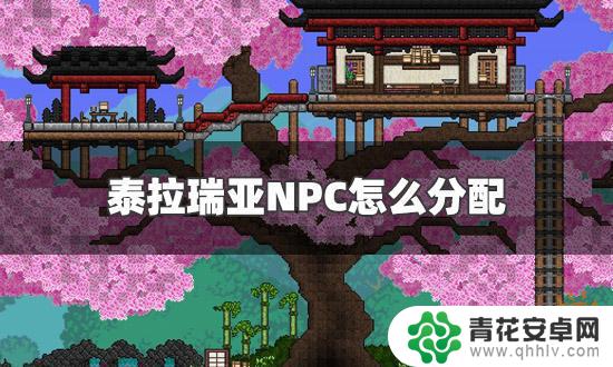 泰拉瑞亚npc地下 NPC高幸福度最佳分配攻略