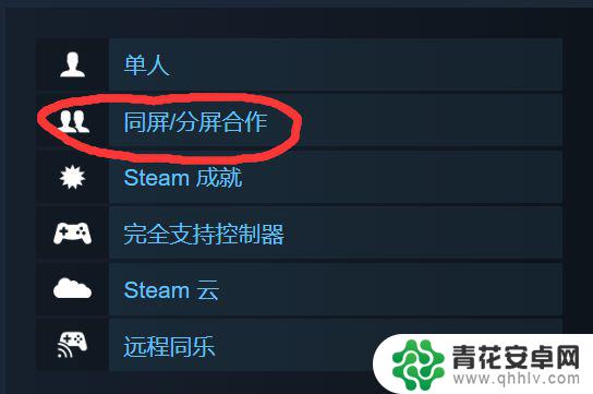 steam避风港联机 《避风港》haven多人联机