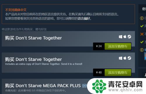 steam小容量游戏推荐 如何在Steam上购买游戏