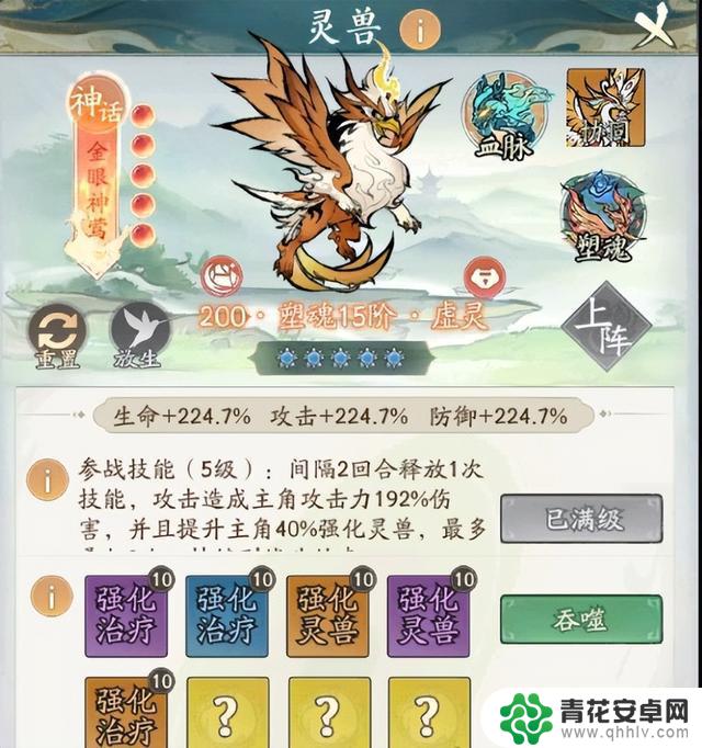 寻找大千主流宠物洗澡技巧