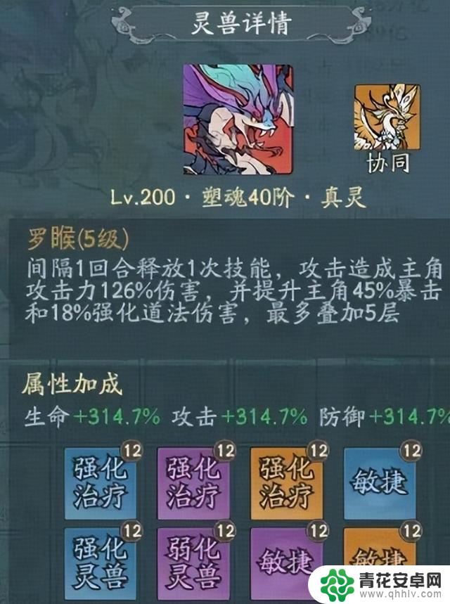 寻找大千主流宠物洗澡技巧