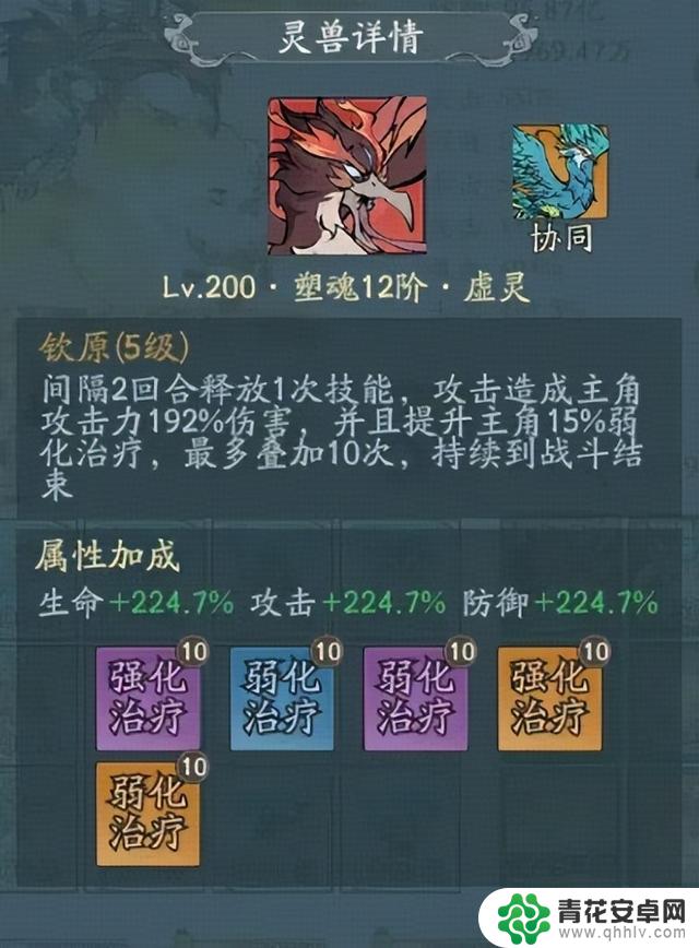 寻找大千主流宠物洗澡技巧