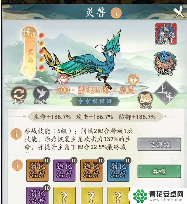 寻找大千主流宠物洗澡技巧