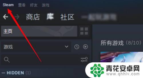 steam怎么设置不显示正在游戏啊 怎样设置steam库中不显示游戏图标