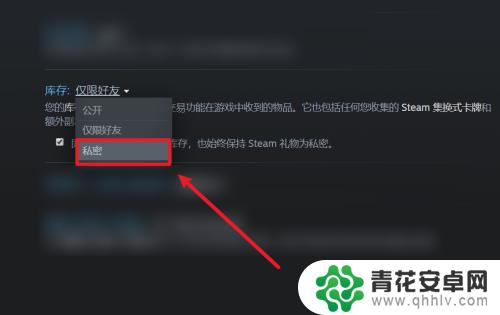 steam看不见库存 Steam库存设置不公开的方法