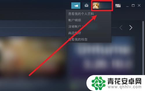 steam看不见库存 Steam库存设置不公开的方法