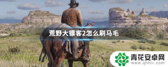 荒野大镖客怎么帮马刷毛 荒野大镖客2如何快速刷马毛