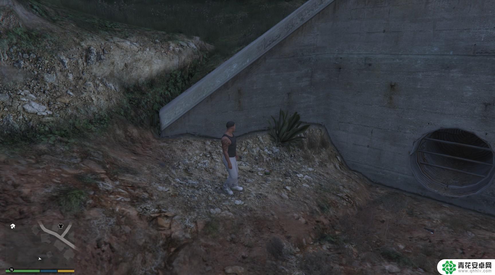gta5怎么解锁所有动物 GTA5迷幻仙人掌位置图解
