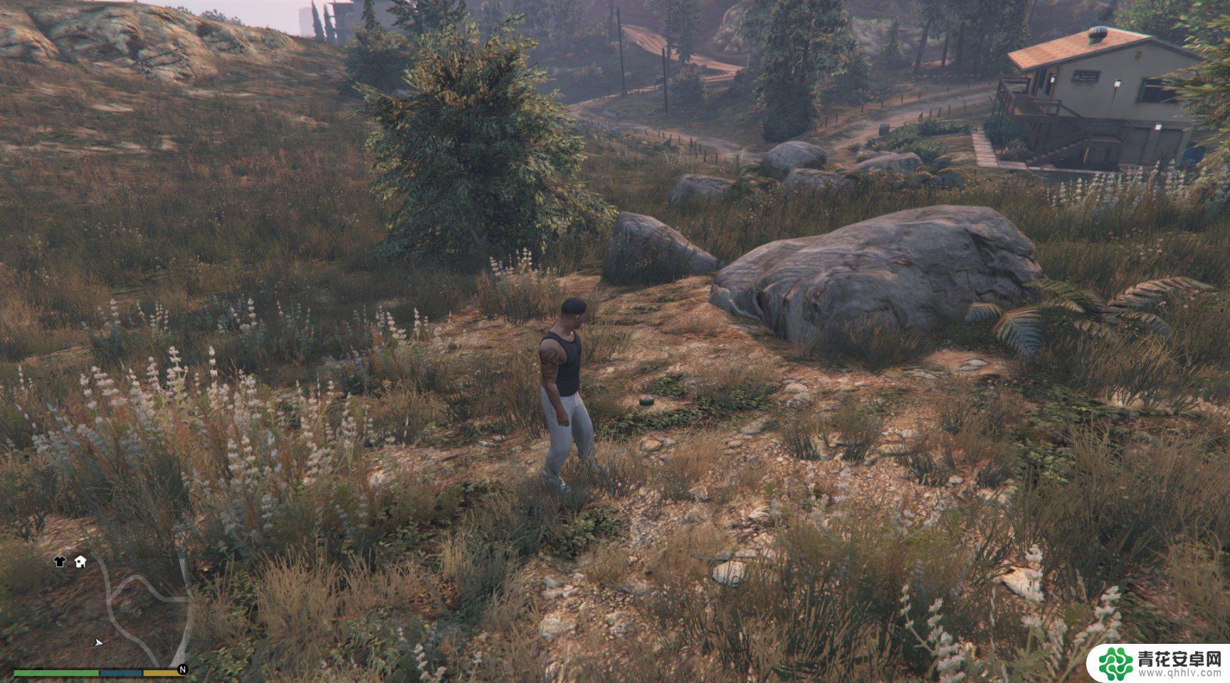 gta5怎么解锁所有动物 GTA5迷幻仙人掌位置图解