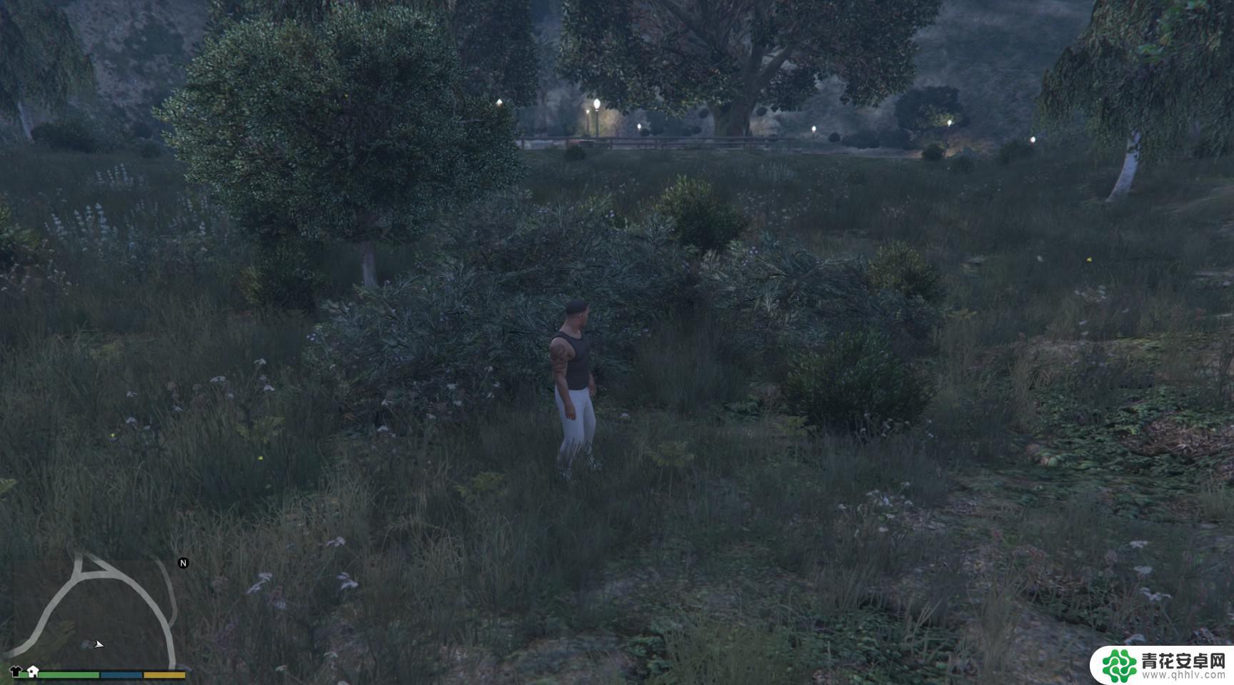 gta5怎么解锁所有动物 GTA5迷幻仙人掌位置图解