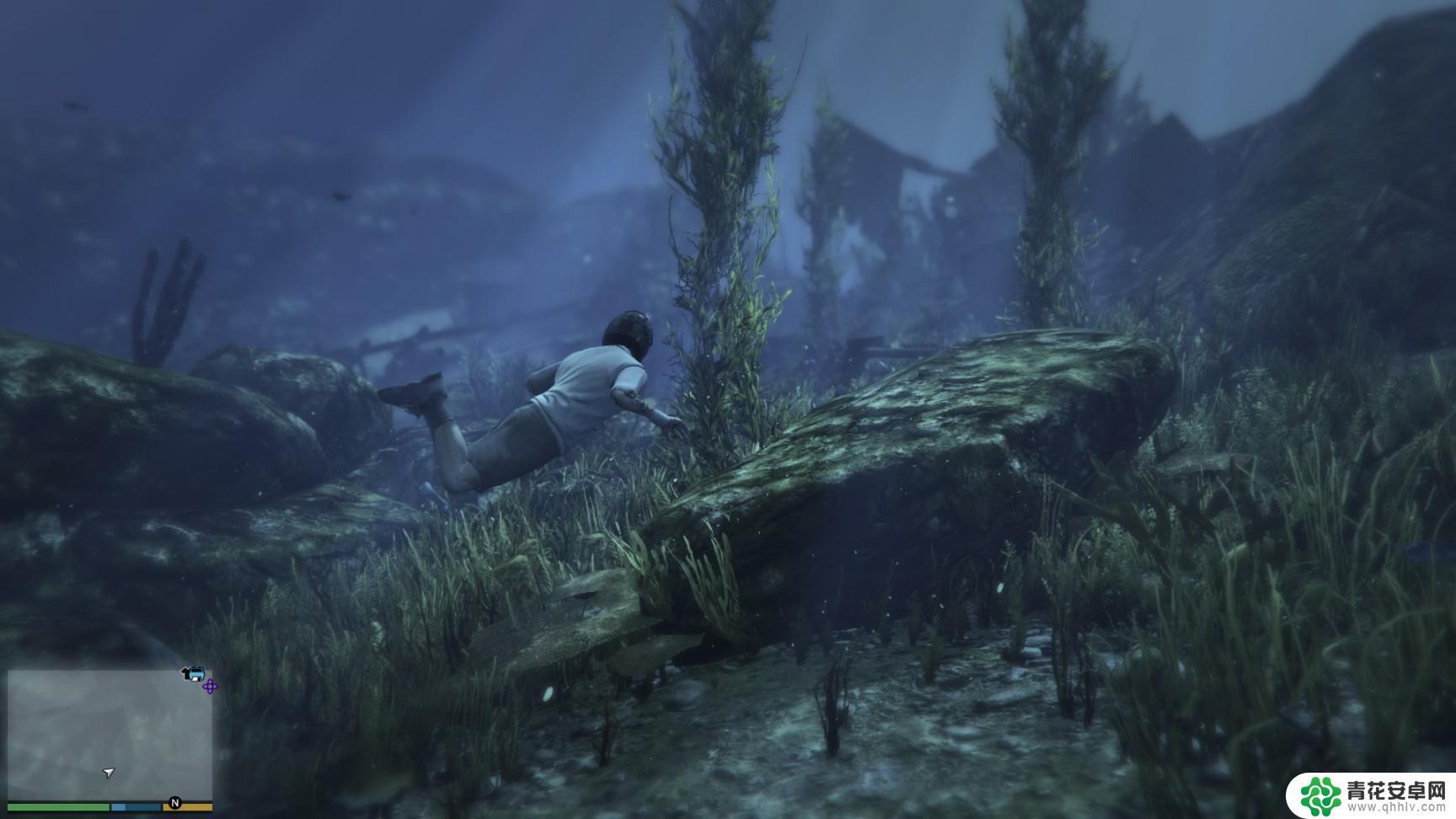 gta5怎么解锁所有动物 GTA5迷幻仙人掌位置图解