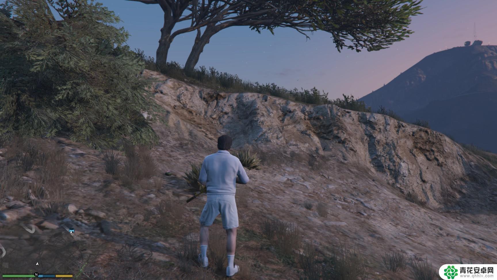 gta5怎么解锁所有动物 GTA5迷幻仙人掌位置图解