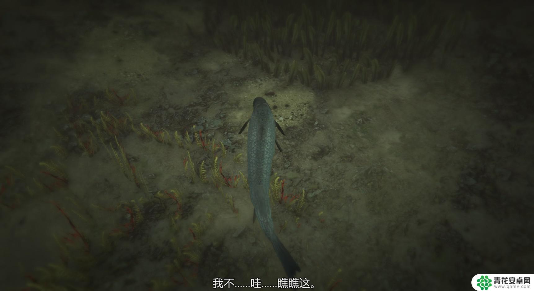 gta5怎么解锁所有动物 GTA5迷幻仙人掌位置图解