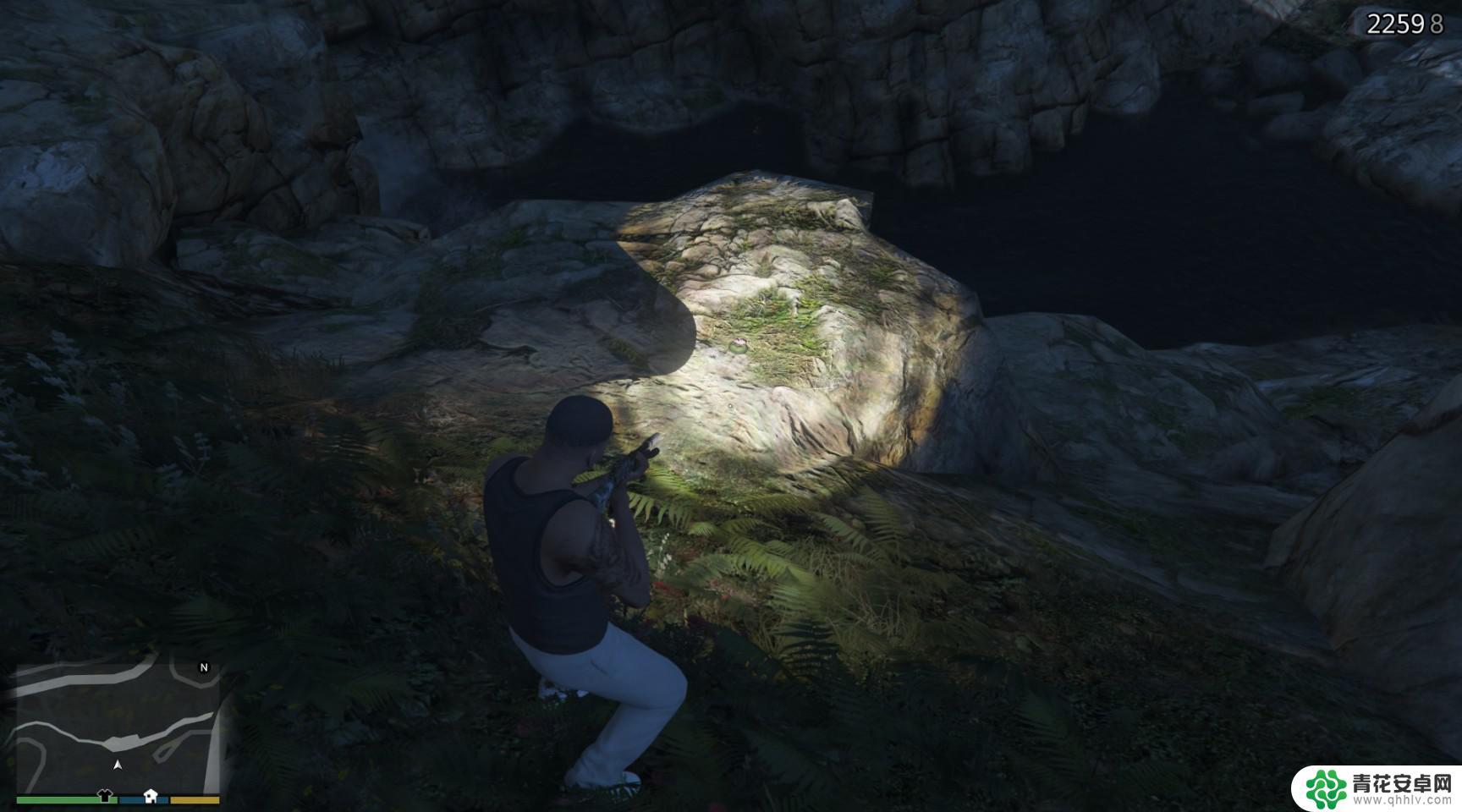 gta5怎么解锁所有动物 GTA5迷幻仙人掌位置图解