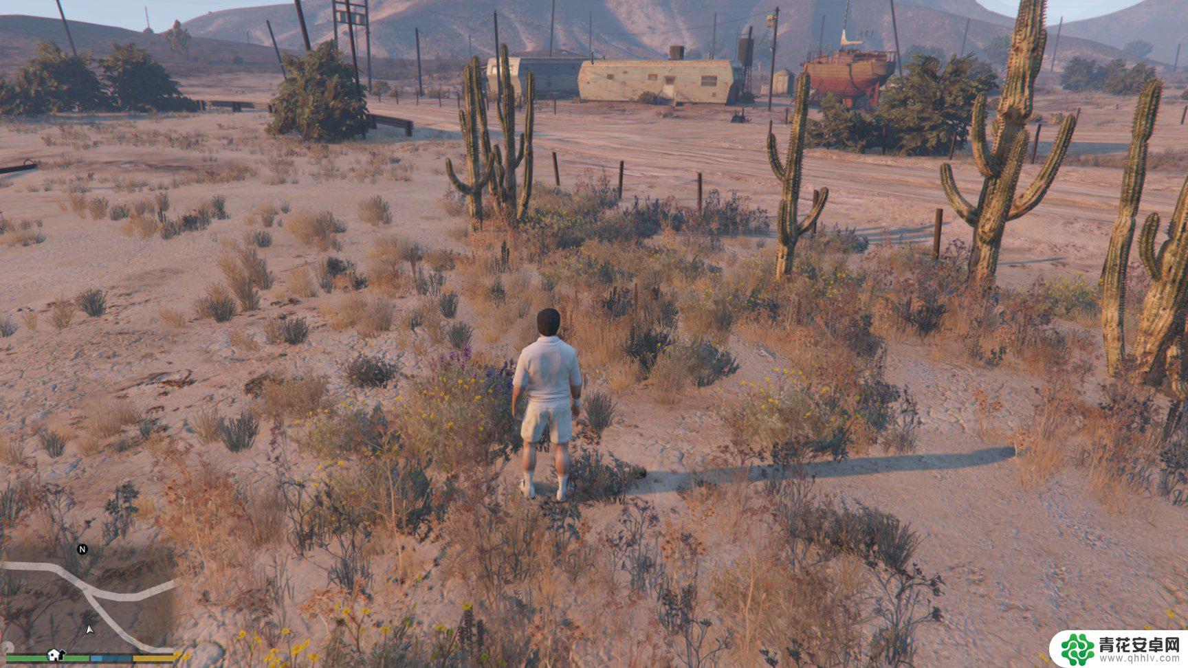 gta5怎么解锁所有动物 GTA5迷幻仙人掌位置图解