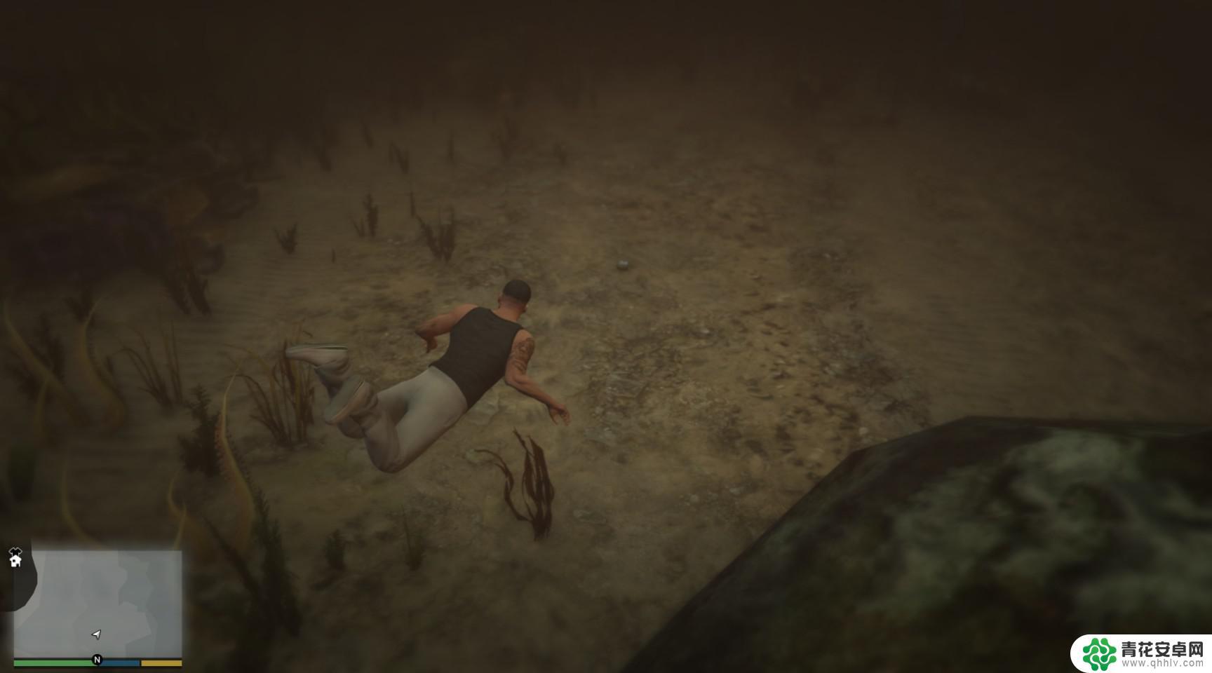 gta5怎么解锁所有动物 GTA5迷幻仙人掌位置图解