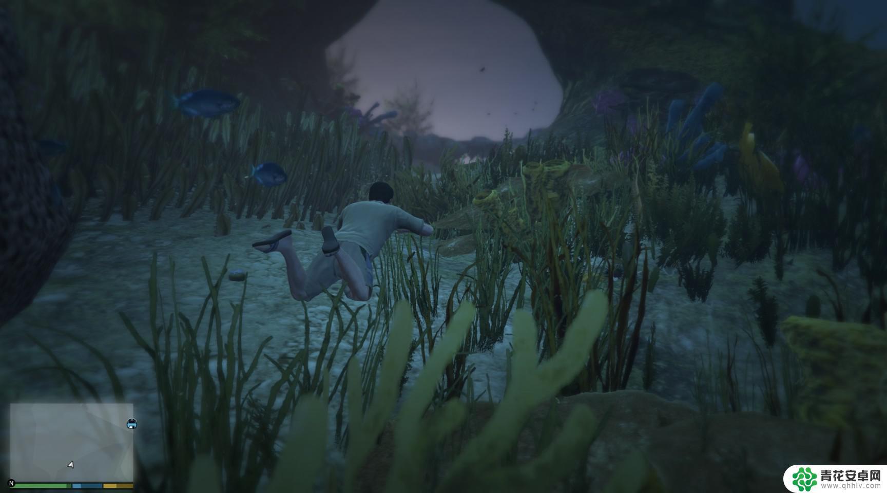 gta5怎么解锁所有动物 GTA5迷幻仙人掌位置图解