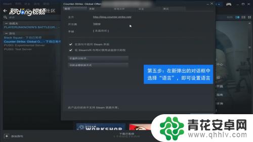 steam游戏里语言设置 如何更改Steam的显示语言为中文