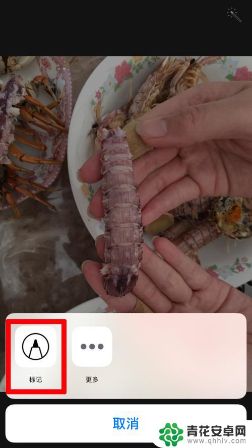 苹果手机数据标注怎么弄 苹果手机照片上如何添加文字标记