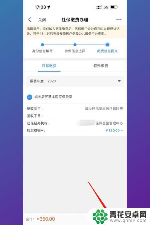 合作医疗怎么缴费在手机上 手机上如何进行合作医疗缴费