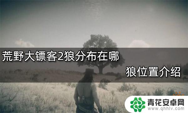 荒野大镖客二狼位置 狼在荒野大镖客2中的位置