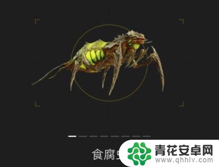 绝地潜兵2敌人图鉴 绝地潜兵2虫类怪物图鉴