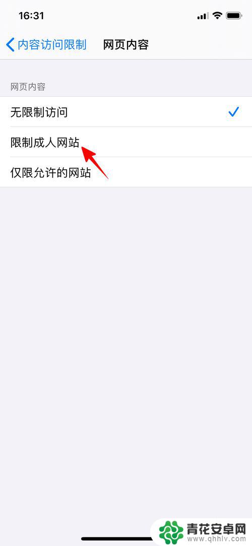 怎么设置手机访问限制网站 怎样在苹果手机上设置安全浏览限制访问不良网站